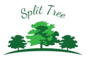 Split Tree